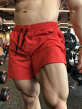 Men’s Sports Shorts – Gym, Running, Basketball & Summer Training Bottoms